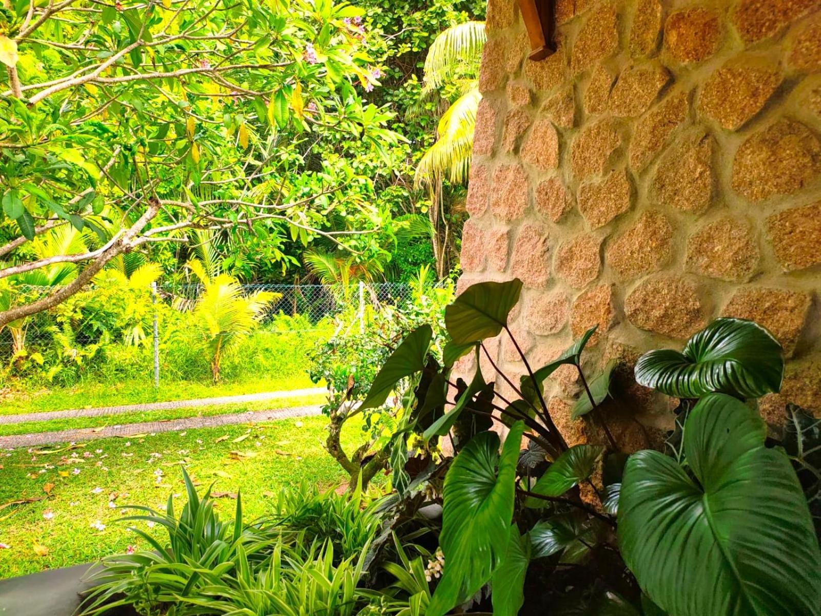The Islander Hotel Grand Anse  Exterior photo
